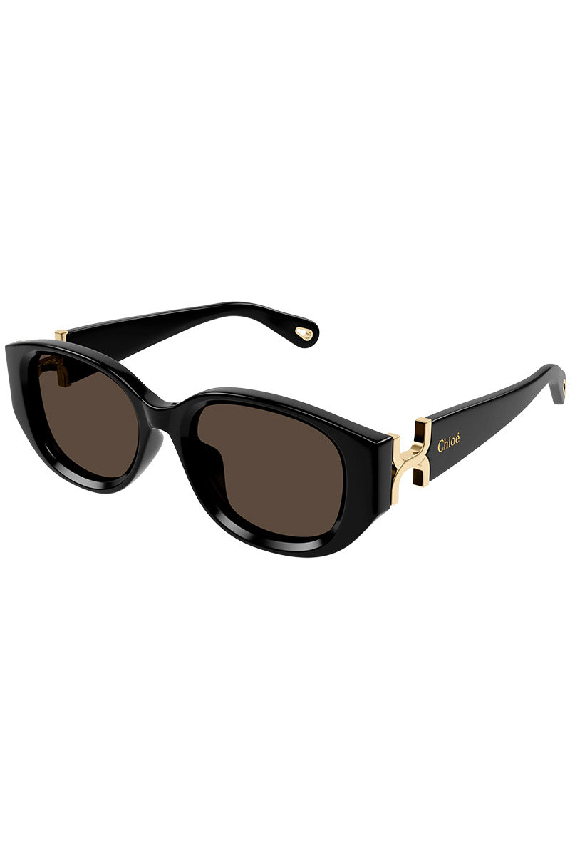 CHLOE NARROW OVAL ACETATE SUNGLASSES - CH0237SK